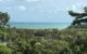 Island Dreams - thumb 0
