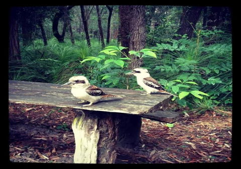 Getaways At Byfield - Holiday Sunshine Coast 1