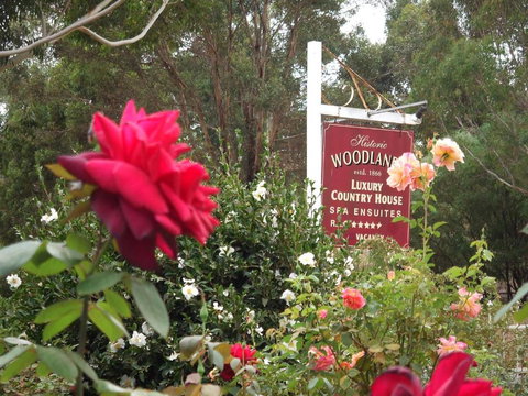 Woodlands Of Bridgetown B & B - Holiday Sunshine Coast 5