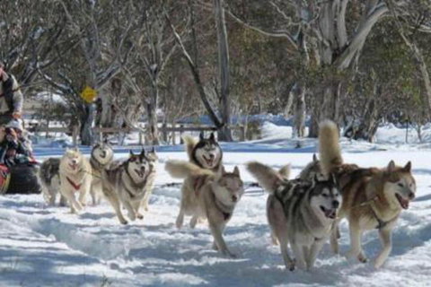 Gundy Lodge - Holiday Sunshine Coast 5