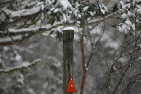 Gundy Lodge - Holiday Sunshine Coast 3