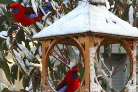 Gundy Lodge - Holiday Sunshine Coast 6