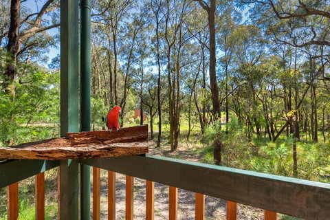 Cockatoo Cottages - Holiday Sunshine Coast 6