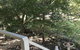 Padthaway Caravan Park - thumb 4