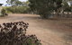 Padthaway Caravan Park - thumb 1