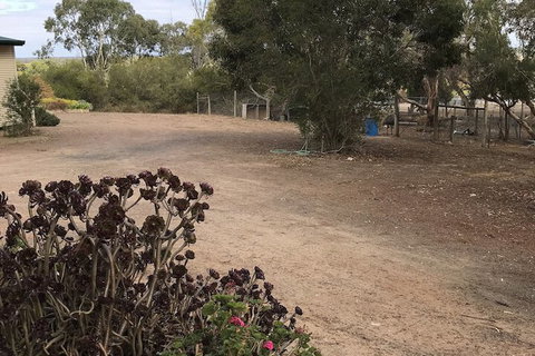 Padthaway Caravan Park - Sunshine Coast Tourism 1