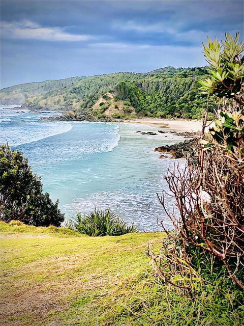 Byron Hinterland Farm Minutes To Everything! - Holiday Sunshine Coast 3