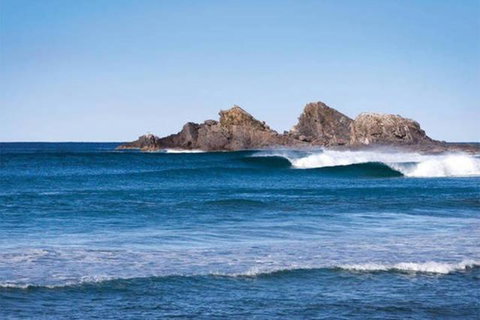 Byron Hinterland Farm Minutes To Everything! - Holiday Sunshine Coast 4