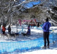 Cloud 9 Alpine Lodge - Holiday Sunshine Coast