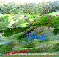 The Acreage BB - Sunshine Coast Tourism