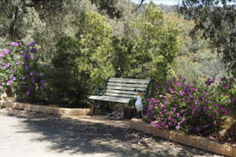 Wild Cherry Bed & Breakfast - Holiday Sunshine Coast 3