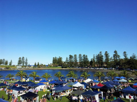 Bellevue Accommodation - Holiday Sunshine Coast 2