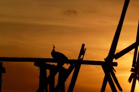 The Wicked Villa - Sunshine Coast Tourism 5