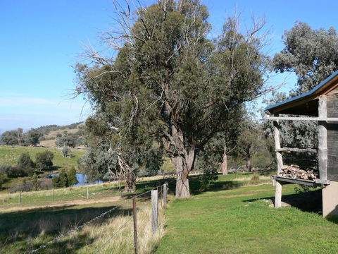 Gaddleen Grove Cottages - Holiday Sunshine Coast 6