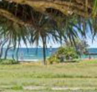 Pandanus on Emerald - Sunshine Coast Tourism