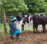 Manderley Park Farmstay B  B - Sunshine Coast Tourism