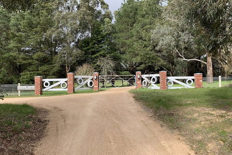 Helen's Homestead - Sunshine Coast Tourism 7