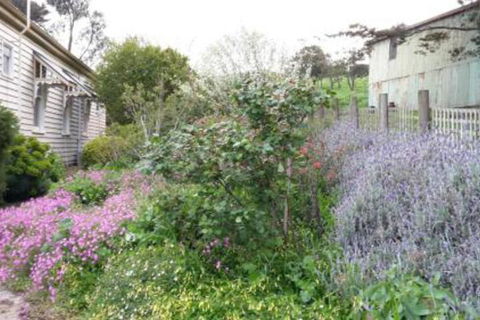 Alvie Cottage - Holiday Sunshine Coast 1