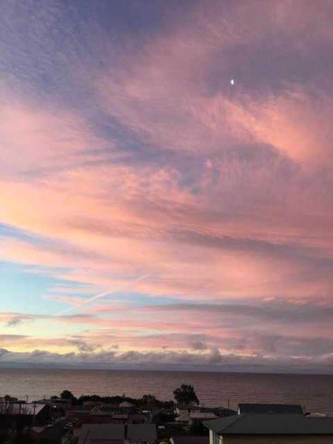 Penguin Seaside Homestay - Holiday Sunshine Coast 5