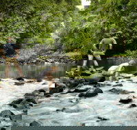 Sharlynn by the River - Sunshine Coast Tourism