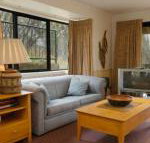 Discobolus 2 - Sunshine Coast Tourism