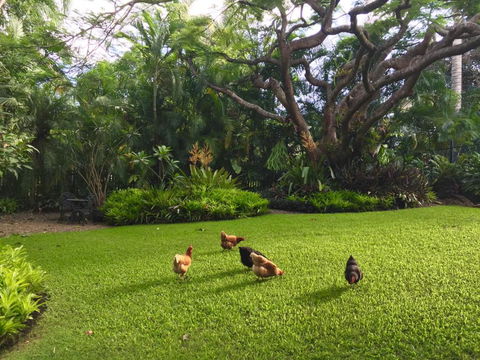 Eden Rest - Sunshine Coast Tourism 1
