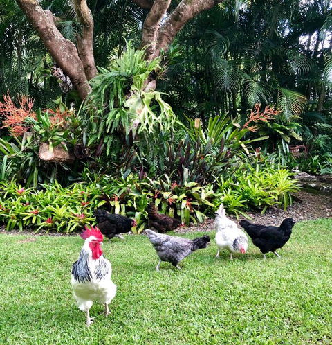 Eden Rest - Sunshine Coast Tourism 3