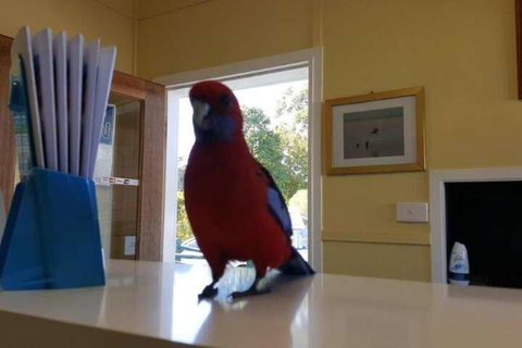 Lake Conjola Waterfront Holiday Park - Sunshine Coast Tourism 5