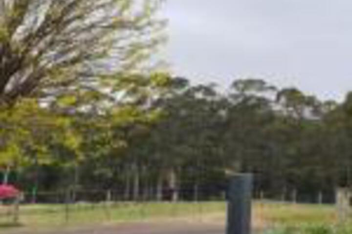  Sunshine Coast Tourism