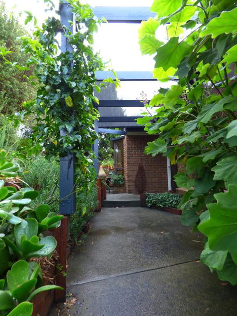 A Suite Spot In The Hills - Holiday Sunshine Coast 5