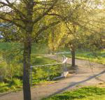 A Suite Spot in the Hills - Holiday Sunshine Coast