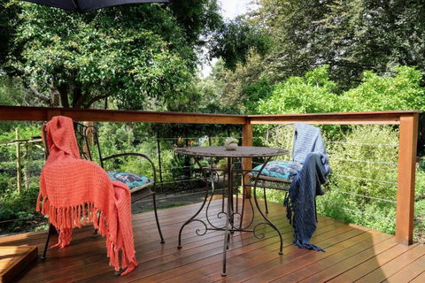 Little Violet - Holiday Sunshine Coast 4