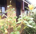 Albion Cottage - Sunshine Coast Tourism