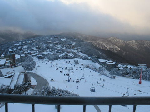 Alto 203 - Sunshine Coast Tourism 4