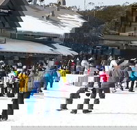 Discobulous 6 - Sunshine Coast Tourism