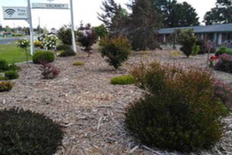 Altona Motel - Holiday Sunshine Coast 0