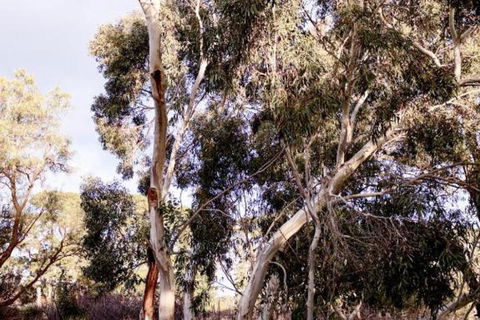Harts Farm - Sunshine Coast Tourism 5