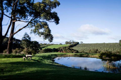 Harts Farm - Sunshine Coast Tourism 7