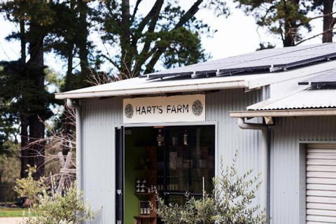 Harts Farm - Sunshine Coast Tourism 3