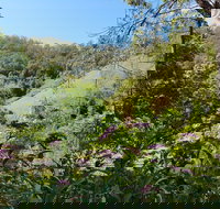 Copeland Manse - Holiday Sunshine Coast