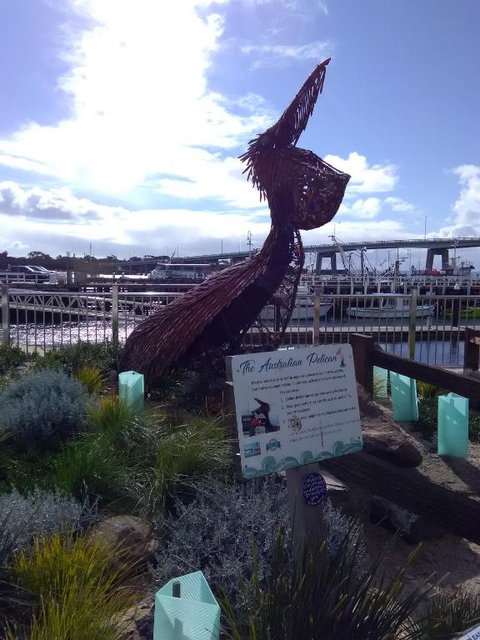 Beach Haven Caravan Park - Holiday Sunshine Coast 3