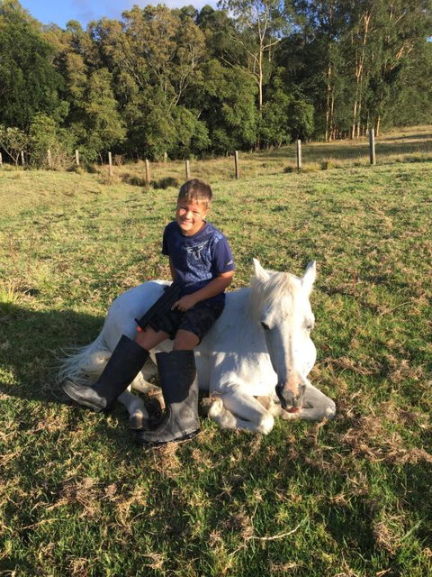 Tall Timbers Motel - Sunshine Coast Tourism 5