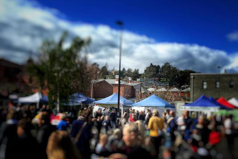 Hero Collection Kennedy - Holiday Sunshine Coast 1