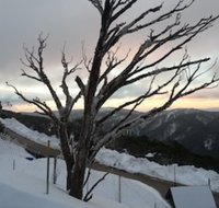 Snowflake 12 - Sunshine Coast Tourism