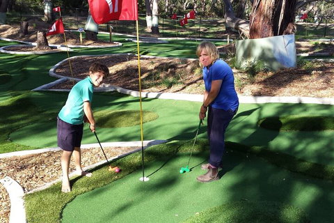 Bimbi Park - Camping Under Koala - Holiday Sunshine Coast 1