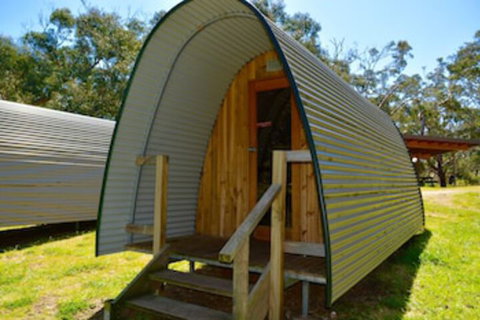 Bimbi Park - Camping Under Koala - Holiday Sunshine Coast 0