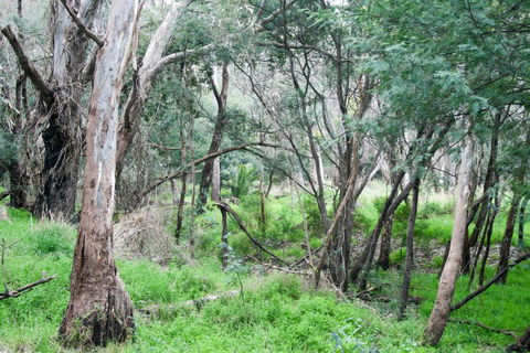 34 On Emily - Sunshine Coast Tourism 4