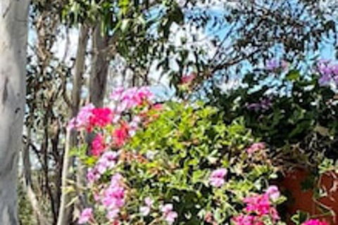 Crows Nest Motel - Holiday Sunshine Coast 0