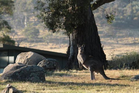 Ecocrackenback 14 Sustainable Luxurious Chalet Close To The Slopes. - Sunshine Coast Tourism 1