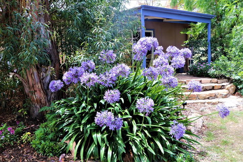 A Stanthorpe Getaway - Holiday Sunshine Coast 4